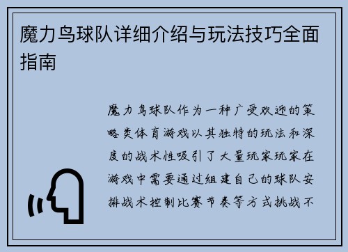 魔力鸟球队详细介绍与玩法技巧全面指南